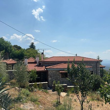 Terra Petra Villa At Psari Trikolonon Gortynia Psárion Dış mekan fotoğraf