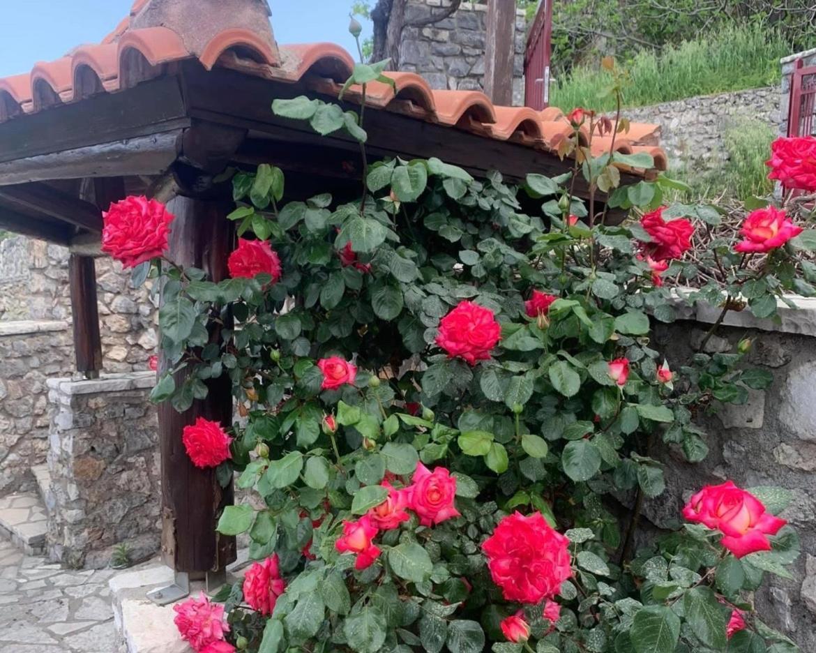 Terra Petra Villa At Psari Trikolonon Gortynia Psárion Dış mekan fotoğraf